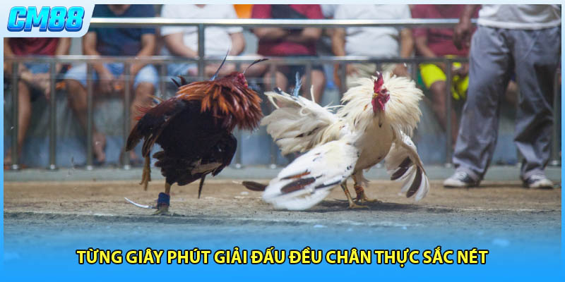 Từng giây phút giải đấu đều chân thực sắc nét